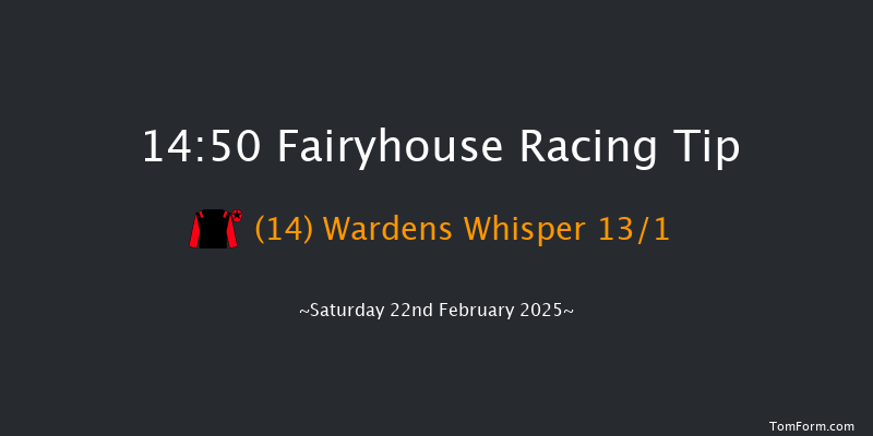 Fairyhouse  14:50 Handicap Hurdle 20f Wed 5th Feb 2025