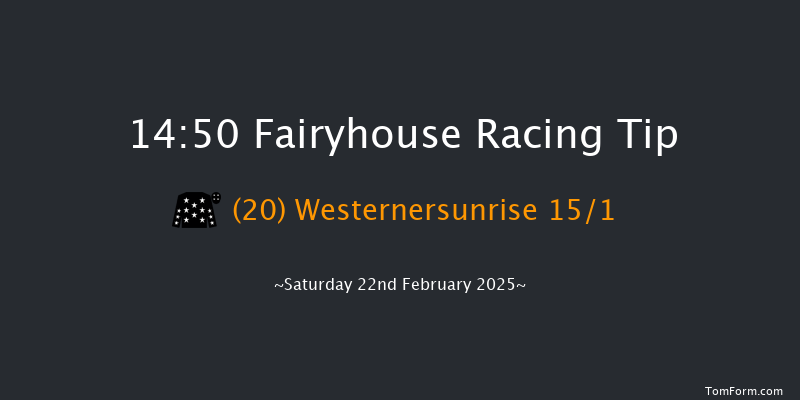 Fairyhouse  14:50 Handicap Hurdle 20f Wed 5th Feb 2025