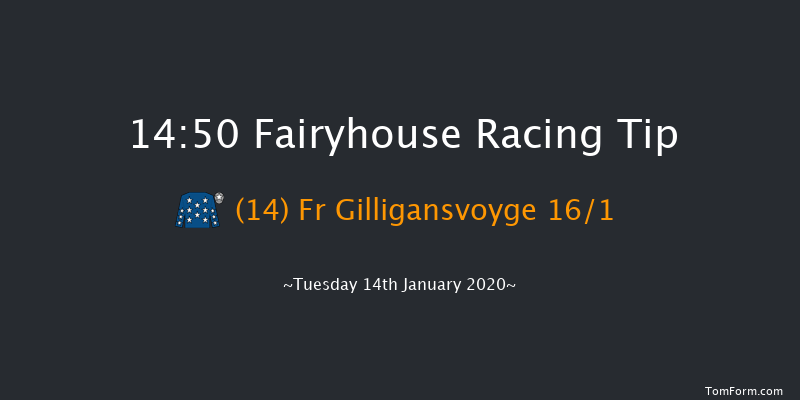 Fairyhouse 14:50 Handicap Hurdle 20f Sat 11th Jan 2020