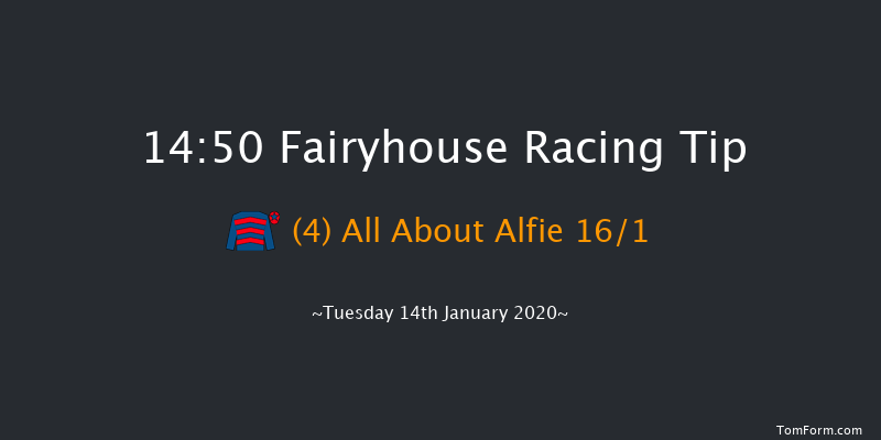 Fairyhouse 14:50 Handicap Hurdle 20f Sat 11th Jan 2020