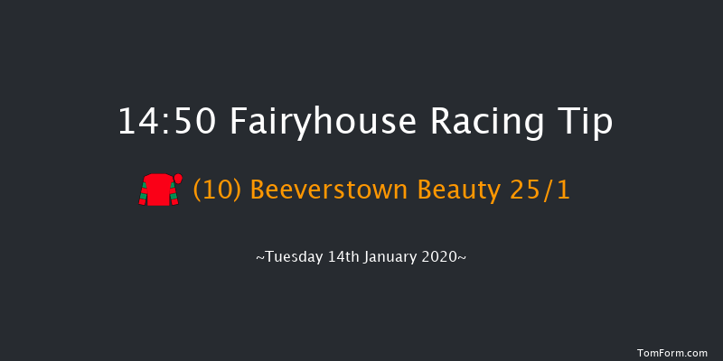 Fairyhouse 14:50 Handicap Hurdle 20f Sat 11th Jan 2020