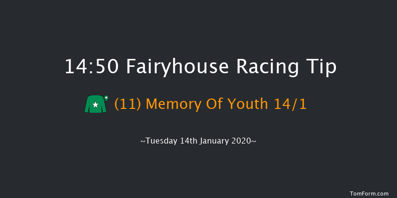 Fairyhouse 14:50 Handicap Hurdle 20f Sat 11th Jan 2020