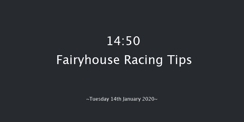 Fairyhouse 14:50 Handicap Hurdle 20f Sat 11th Jan 2020
