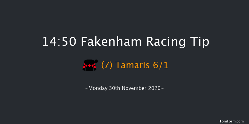 Racing Is Everyone's Sport Juvenile Hurdle (GBB Race) Fakenham 14:50 Conditions Hurdle (Class 4) 16f Tue 17th Nov 2020