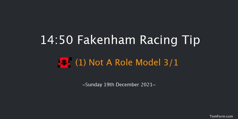 Fakenham 14:50 Handicap Chase (Class 3) 21f Tue 16th Nov 2021