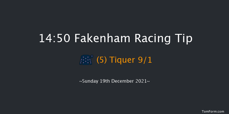 Fakenham 14:50 Handicap Chase (Class 3) 21f Tue 16th Nov 2021