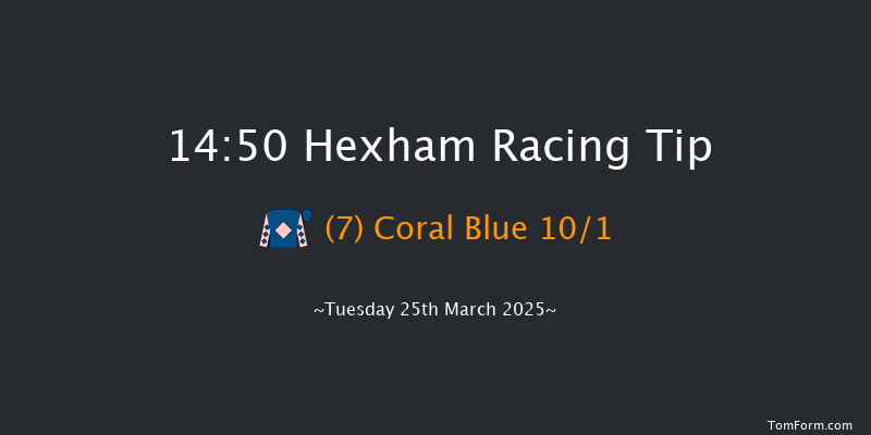 Hexham  14:50 Handicap Hurdle (Class 5) 20f Thu 13th Mar 2025