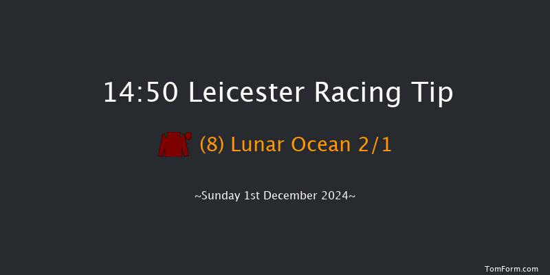 Leicester  14:50 Handicap Chase (Class 5) 20f Mon 18th Nov 2024