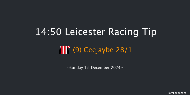 Leicester  14:50 Handicap Chase (Class 5) 20f Mon 18th Nov 2024