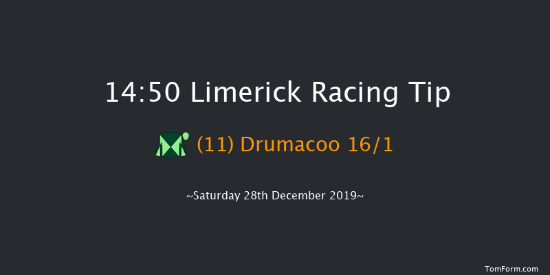Limerick 14:50 Handicap Chase 20f Fri 27th Dec 2019
