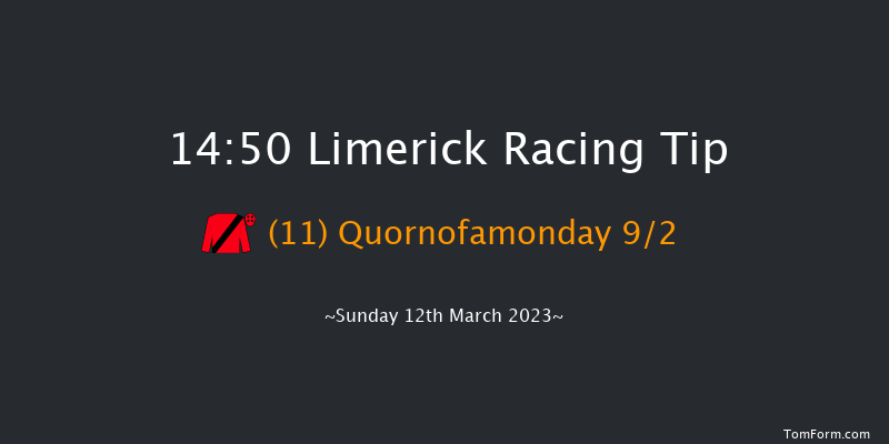 Limerick 14:50 Handicap Hurdle 22f Tue 31st Jan 2023