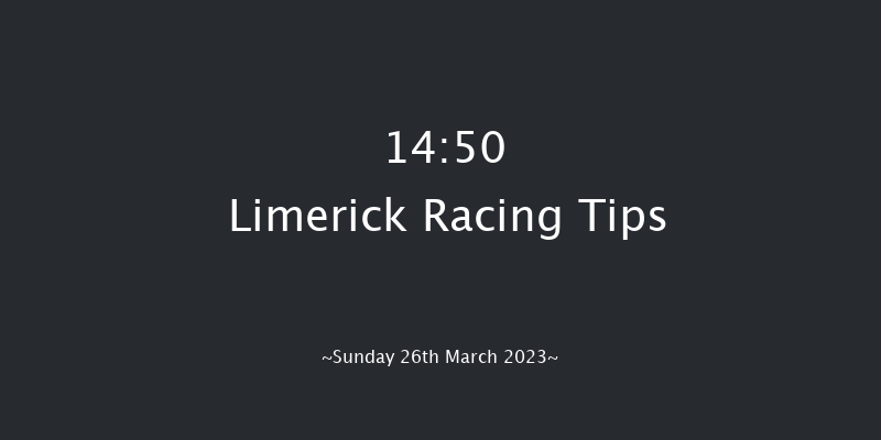 Limerick 14:50 Handicap Hurdle 16f Sun 12th Mar 2023