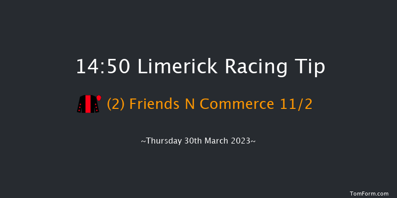 Limerick 14:50 Handicap Hurdle 16f Sun 26th Mar 2023