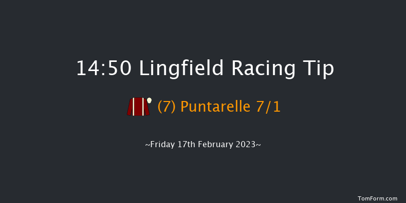 Lingfield 14:50 Stakes (Class 4) 7f Tue 14th Feb 2023