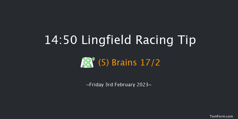 Lingfield 14:50 Handicap (Class 4) 8f Tue 31st Jan 2023