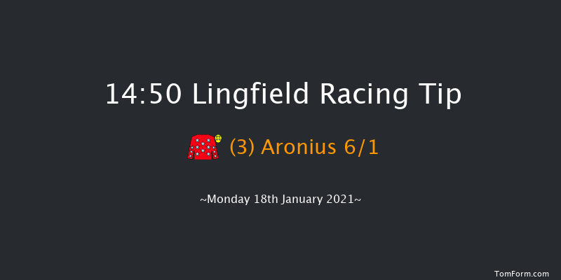 Sky Sports 'Jumpers' Bumper' NH Flat Race Sky Sports 