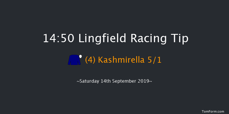 Lingfield 14:50 Stakes (Class 4) 8f Thu 5th Sep 2019