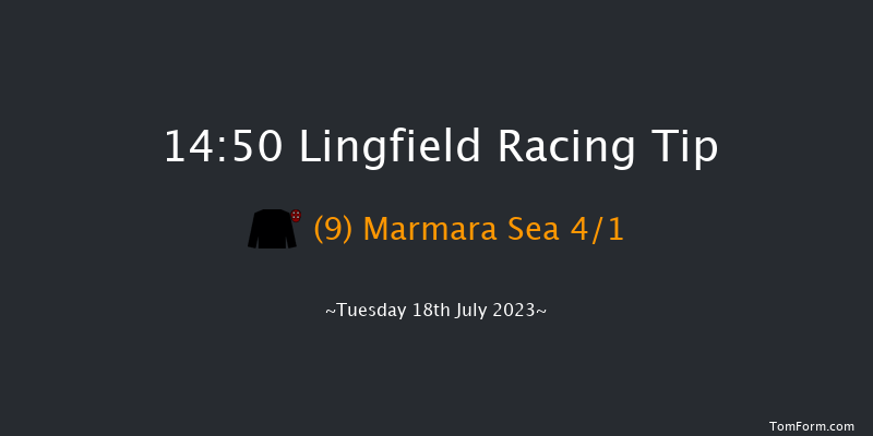 Lingfield 14:50 Stakes (Class 5) 12f Wed 12th Jul 2023