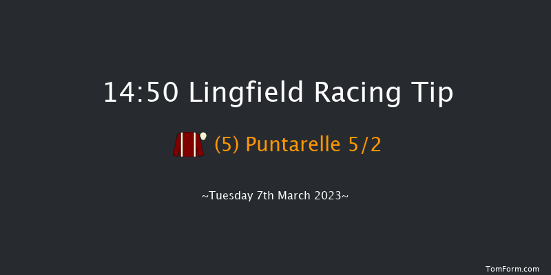 Lingfield 14:50 Maiden (Class 5) 8f Sat 4th Mar 2023