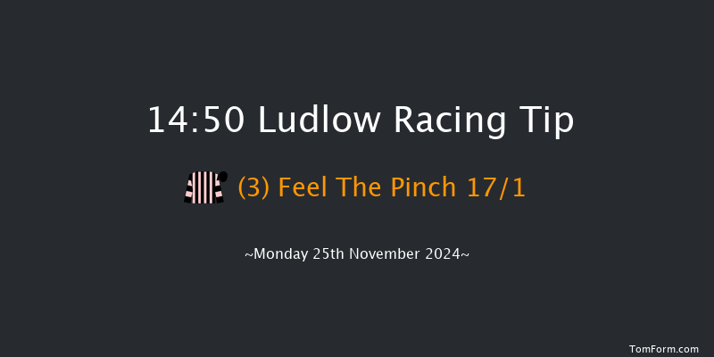 Ludlow  14:50 Handicap Chase (Class 3) 16f Thu 7th Nov 2024
