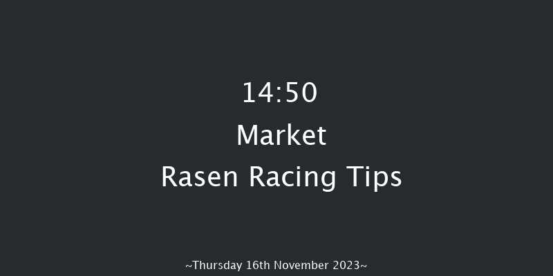 Market Rasen 14:50 Conditions Chase (Class 1) 24f Sat 30th Sep 2023