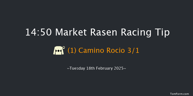 Market Rasen  14:50 Handicap Chase (Class 5) 24f Tue 4th Feb 2025