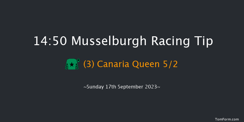 Musselburgh 14:50 Stakes (Class 5) 5f Sat 16th Sep 2023