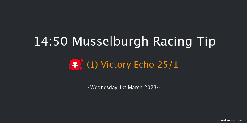 Musselburgh 14:50 Handicap Chase (Class 5) 20f Sun 19th Feb 2023
