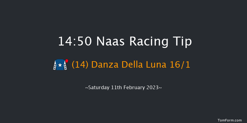 Naas 14:50 Handicap Hurdle 16f Sun 29th Jan 2023