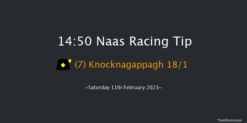 Naas 14:50 Handicap Hurdle 16f Sun 29th Jan 2023