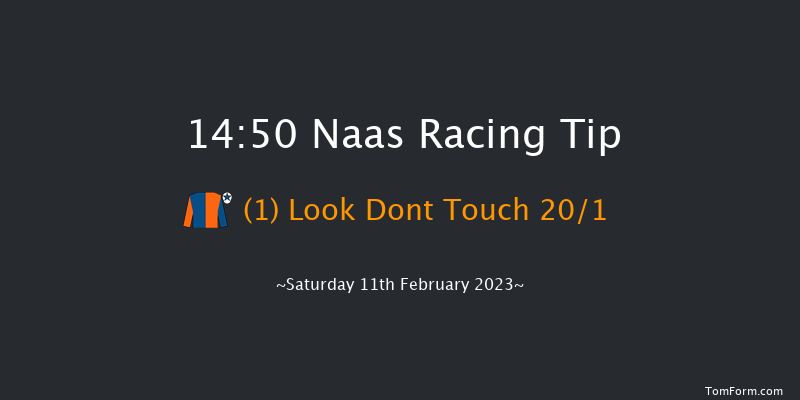 Naas 14:50 Handicap Hurdle 16f Sun 29th Jan 2023