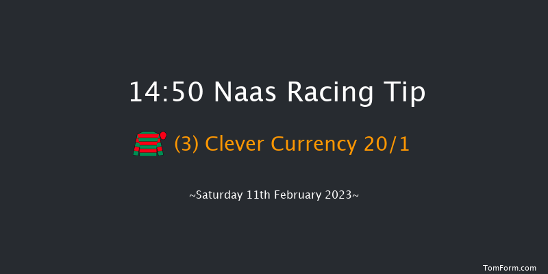 Naas 14:50 Handicap Hurdle 16f Sun 29th Jan 2023