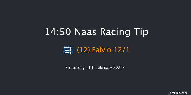Naas 14:50 Handicap Hurdle 16f Sun 29th Jan 2023