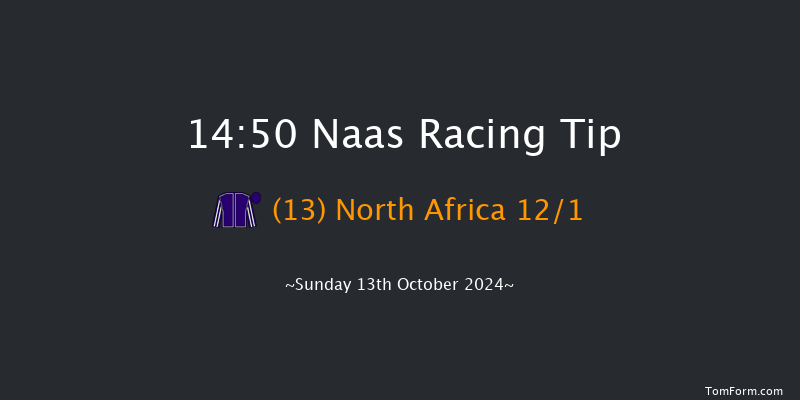 Naas  14:50 Listed 8f  Sat 12th Oct 2024