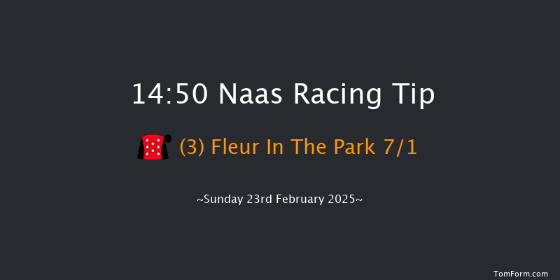 Naas  14:50 Maiden Hurdle 20f Sat 8th Feb 2025