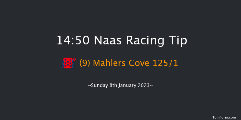 Naas 14:50 Maiden Hurdle 16f Tue 20th Dec 2022