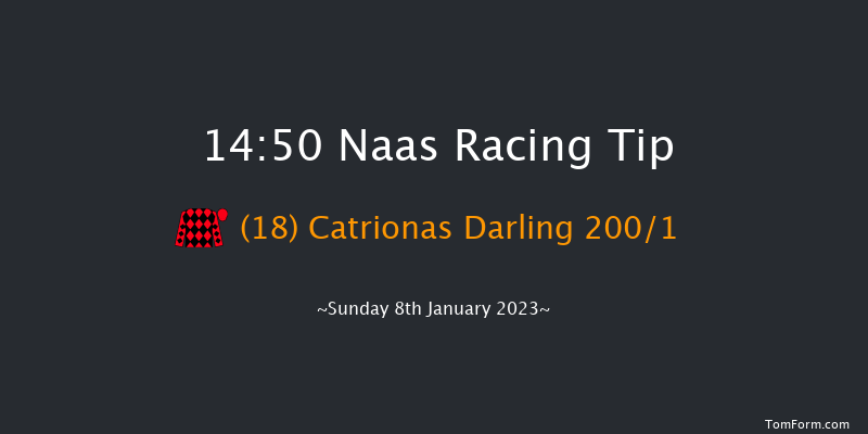 Naas 14:50 Maiden Hurdle 16f Tue 20th Dec 2022