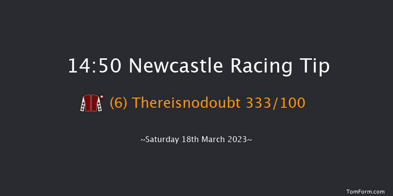 Newcastle 14:50 Handicap Hurdle (Class 3) 17f Fri 17th Mar 2023