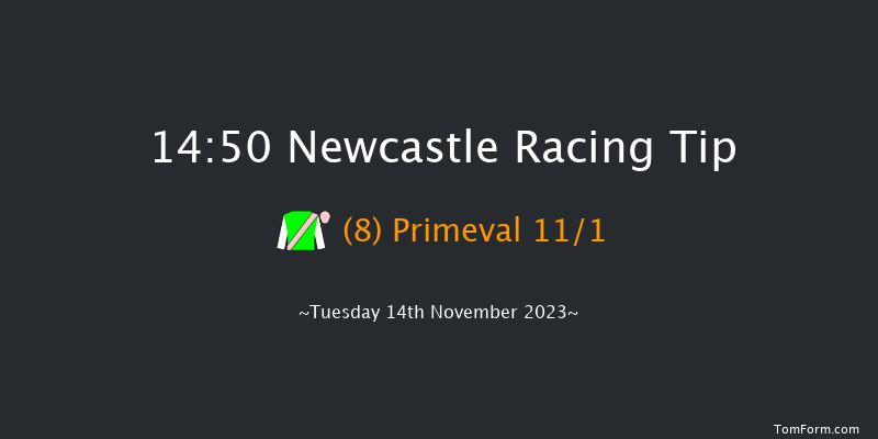 Newcastle 14:50 Handicap (Class 3) 6f Sat 11th Nov 2023