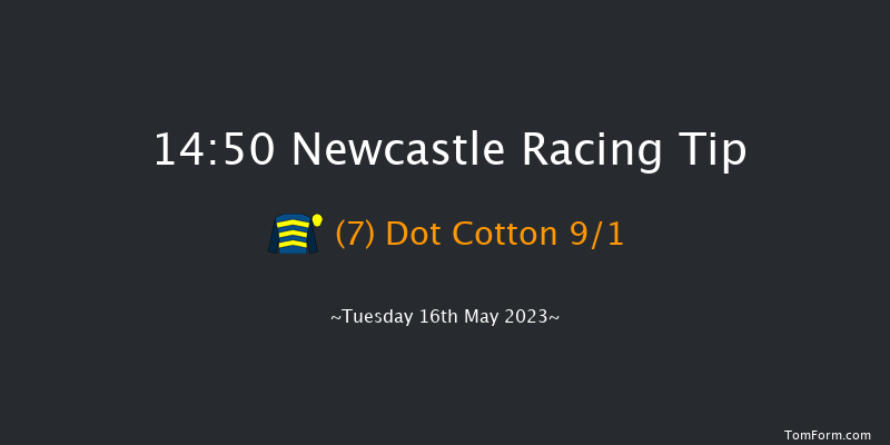 Newcastle 14:50 Handicap Hurdle (Class 5) 20f Tue 9th May 2023