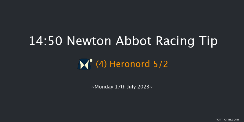 Newton Abbot 14:50 Handicap Chase (Class 4) 16f Fri 7th Jul 2023