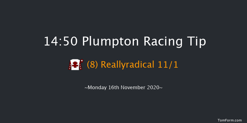 Happy 50th J.h - You Made It! Handicap Hurdle Plumpton 14:50 Handicap Hurdle (Class 4) 20f Mon 2nd Nov 2020