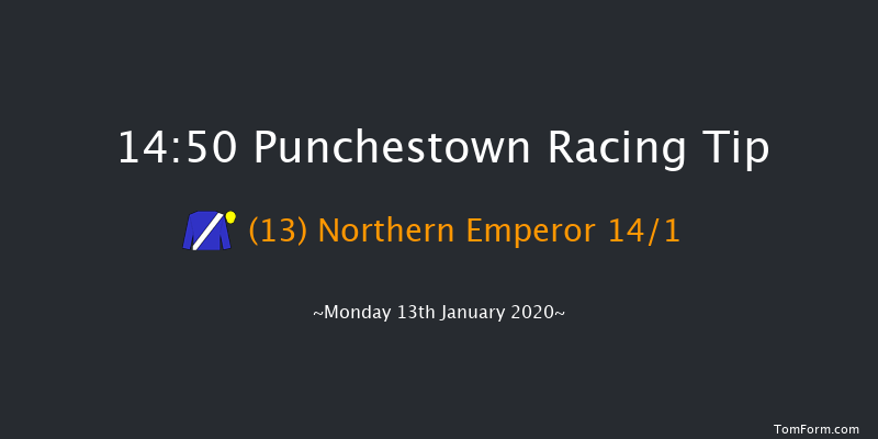 Punchestown 14:50 Handicap Hurdle 20f Sun 12th Jan 2020