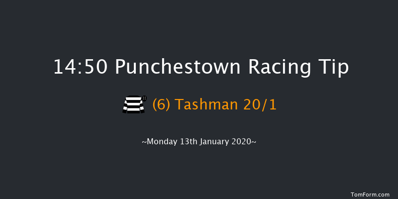Punchestown 14:50 Handicap Hurdle 20f Sun 12th Jan 2020