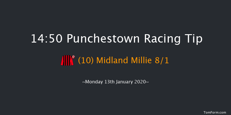 Punchestown 14:50 Handicap Hurdle 20f Sun 12th Jan 2020