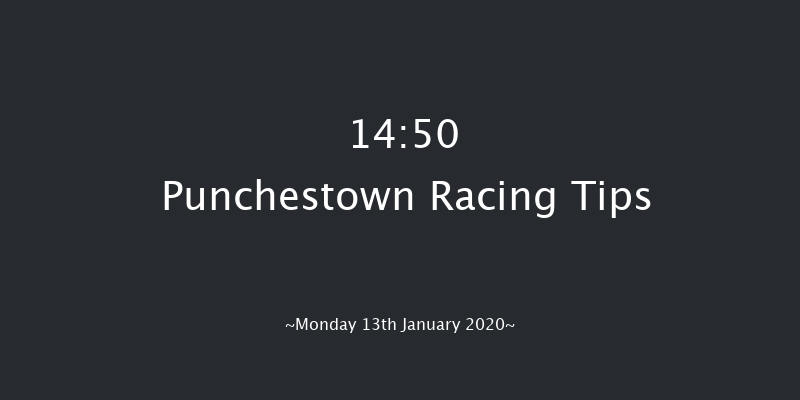 Punchestown 14:50 Handicap Hurdle 20f Sun 12th Jan 2020