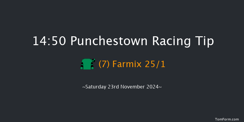 Punchestown  14:50 Handicap Hurdle 19f Fri 15th Nov 2024