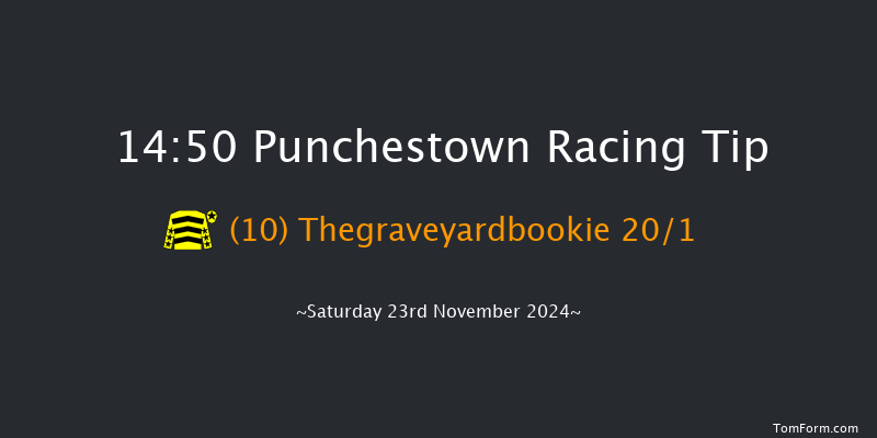 Punchestown  14:50 Handicap Hurdle 19f Fri 15th Nov 2024