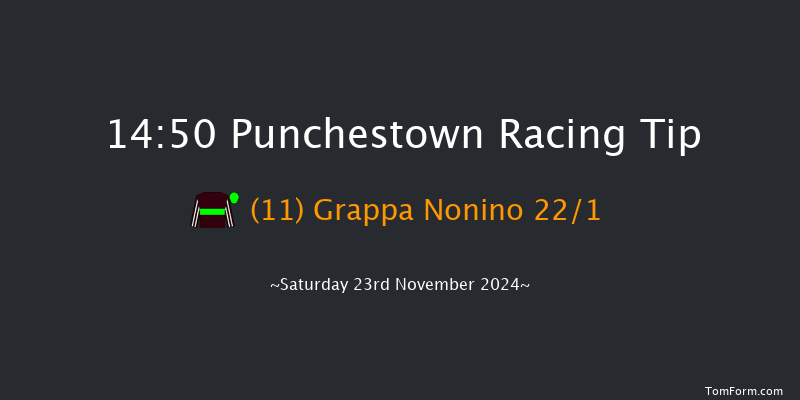 Punchestown  14:50 Handicap Hurdle 19f Fri 15th Nov 2024