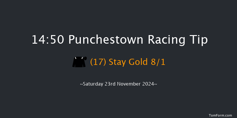 Punchestown  14:50 Handicap Hurdle 19f Fri 15th Nov 2024